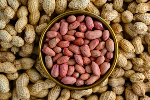 تصویر 1 از خرید بادام زمینی تازه + قیمت فروش استثنایی